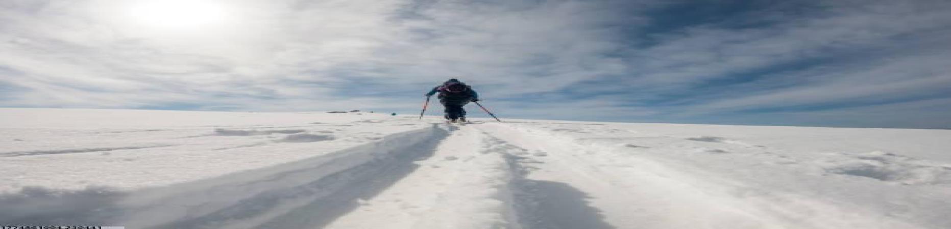 猫先生MRCAT球迷活动签到奖励