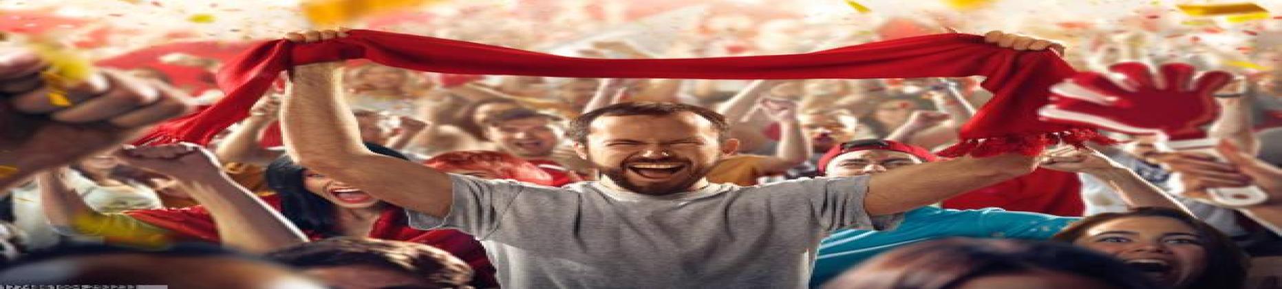 猫先生MRCAT简介